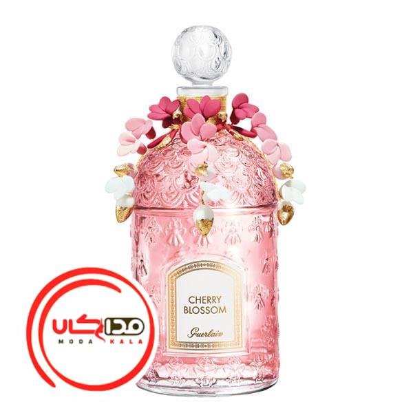 عطر ادکلن گرلن چری بلوسوم 2020 میلسیم | Guerlain Cherry Blossom 2020 Millésime