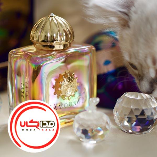 عطر ادکلن آمواج فیت زنانه | Amouage Fate