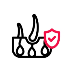 تنظیم کننده چربی پوست