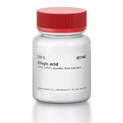 الاژيک اسيد